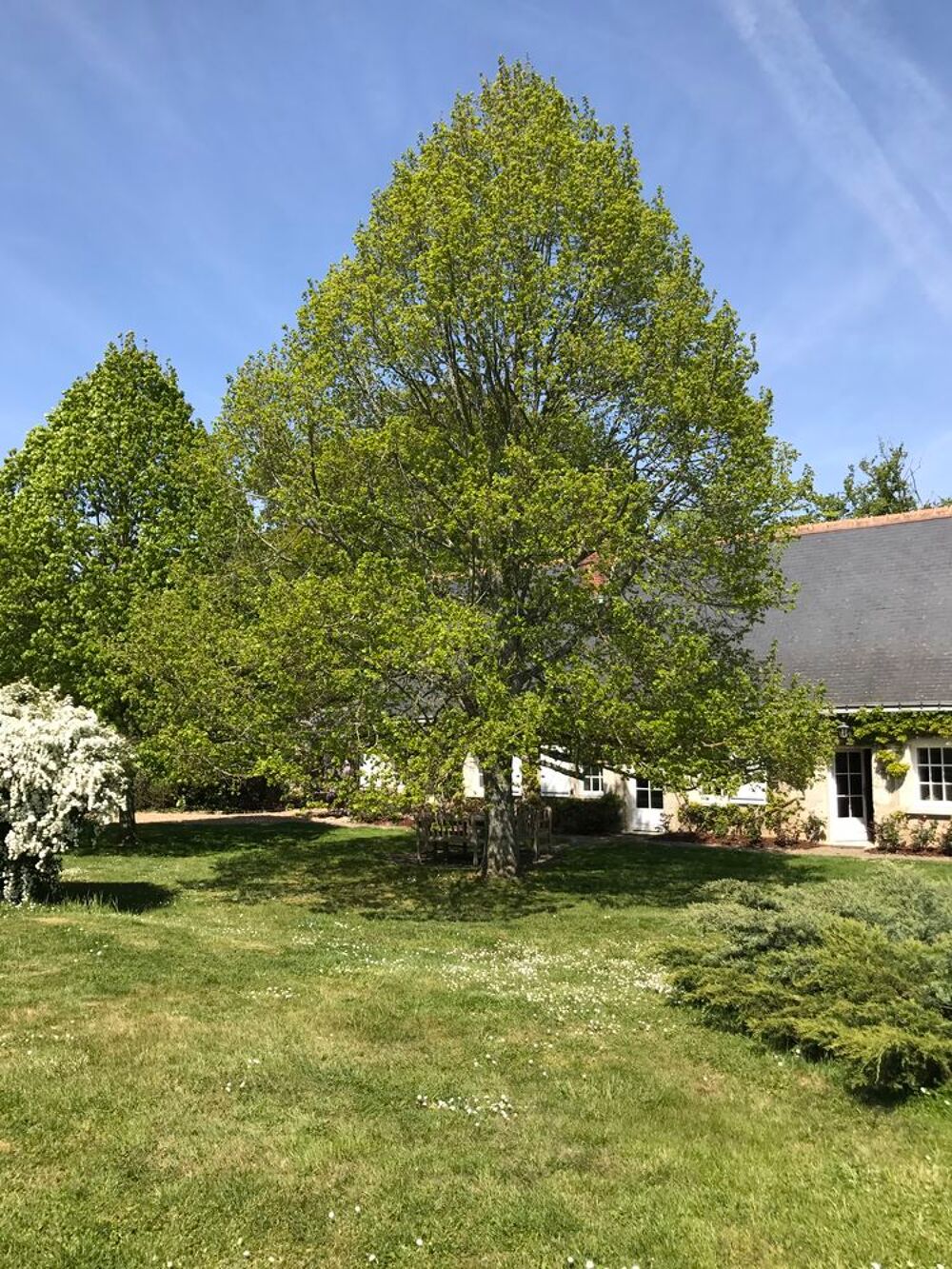 Vente Maison Longère ancienne sur 1 ha clos de murs-piscine chauffée Louestault