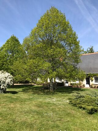  Maison à vendre 6 pièces 150 m²