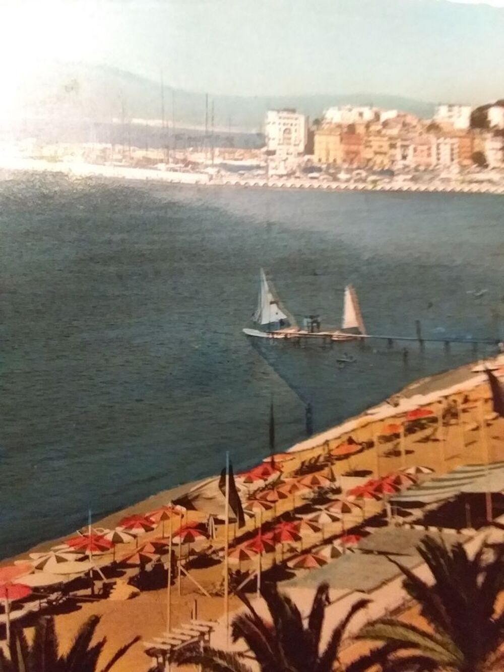 carte postales semis moderne Departement 06 