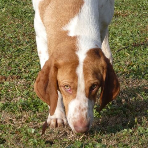 ULKY 200 26300 Ch�teauneuf-sur-is�re