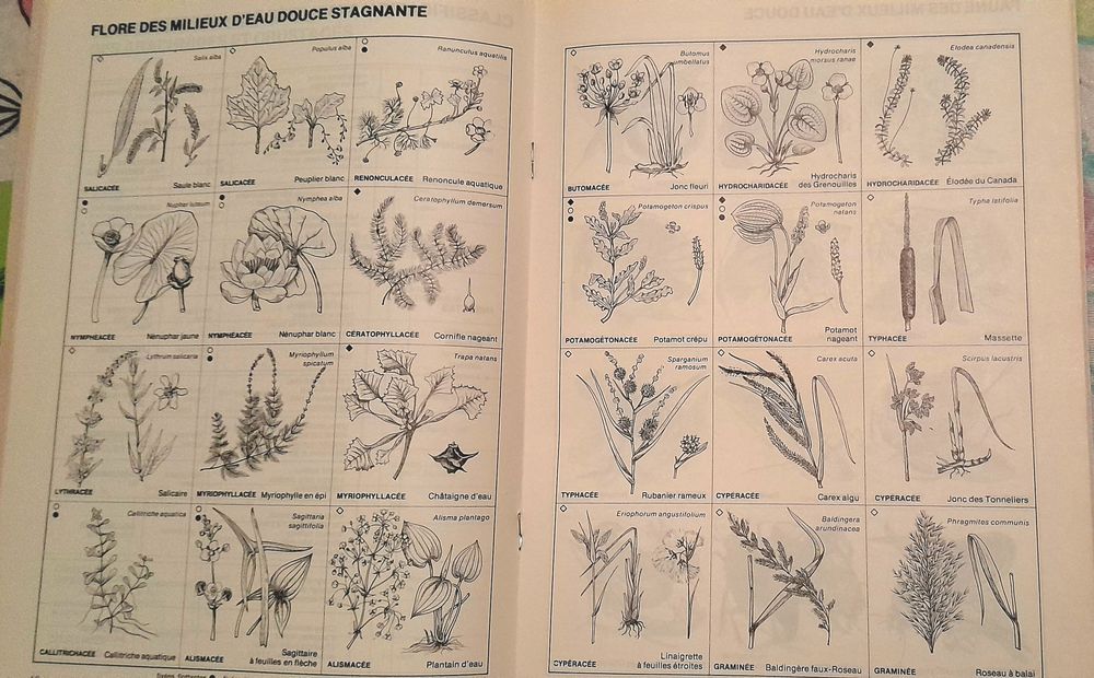 Lot de 4 Livres : Sant&eacute; - Patrimoine gastronomique - Nature Livres et BD