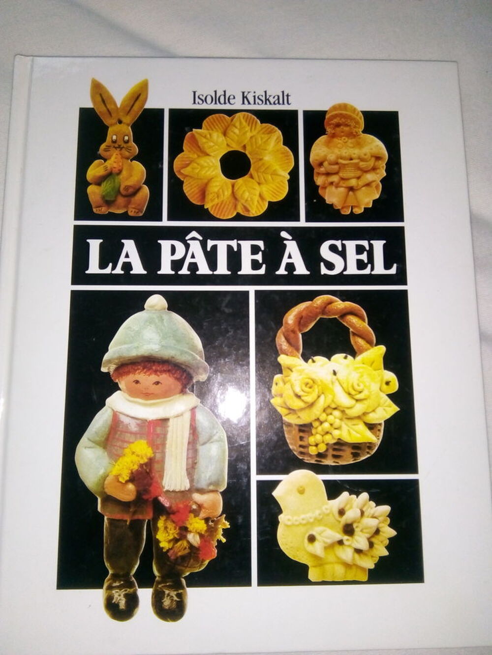 livre P&acirc;te &agrave; sel Livres et BD