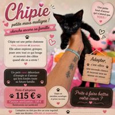   CHIPIE  