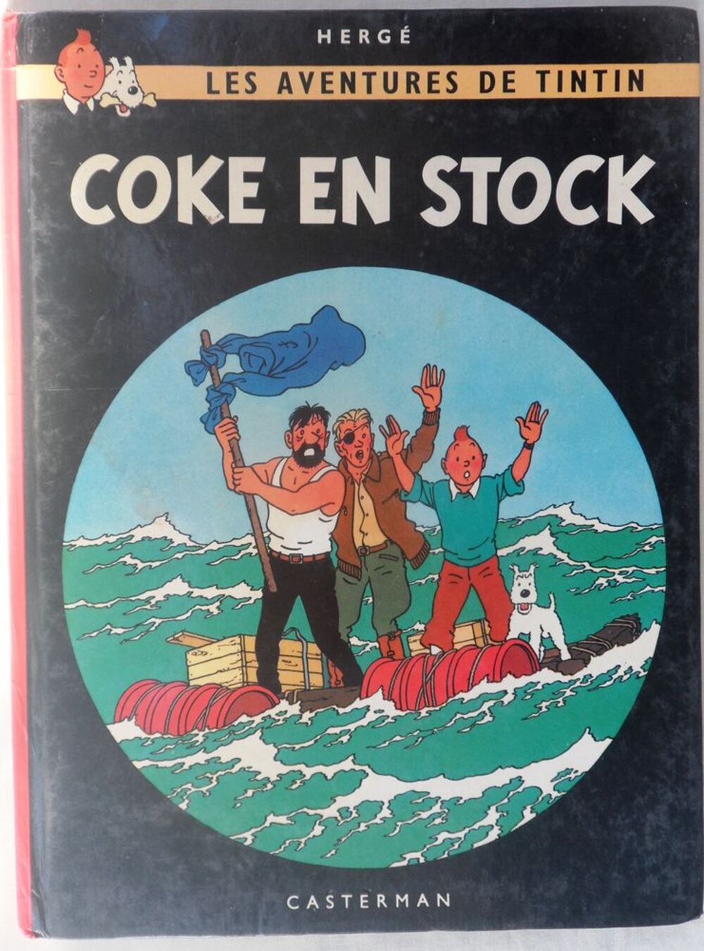 Lot des 22 albums de BD de Tintin en bon &eacute;tat Livres et BD