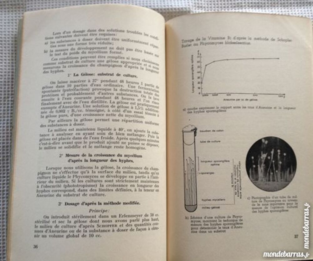 Etude microbiologique des levures du Codex Livres et BD