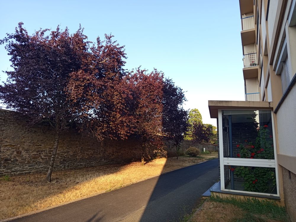 Vente Appartement Appartement 4 pièces entièrement rénové - 81 m² - Angers 