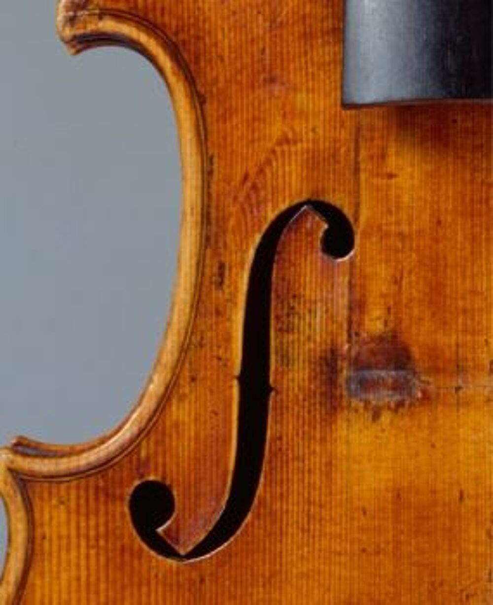 violon Instruments de musique