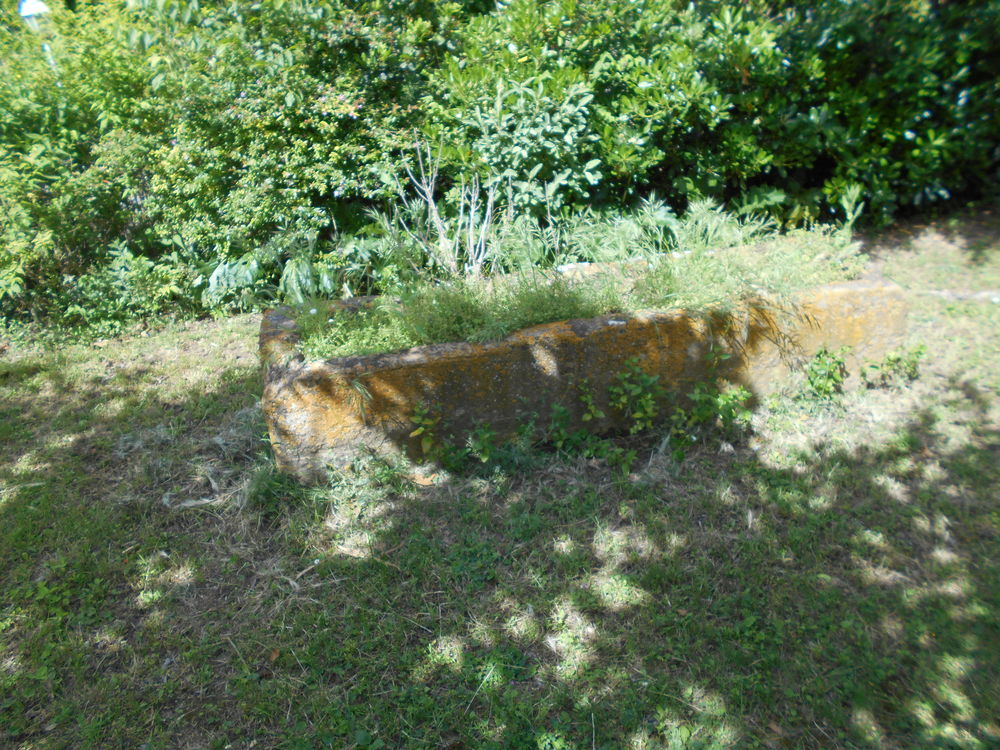 tr&egrave;s grand bachat Jardin