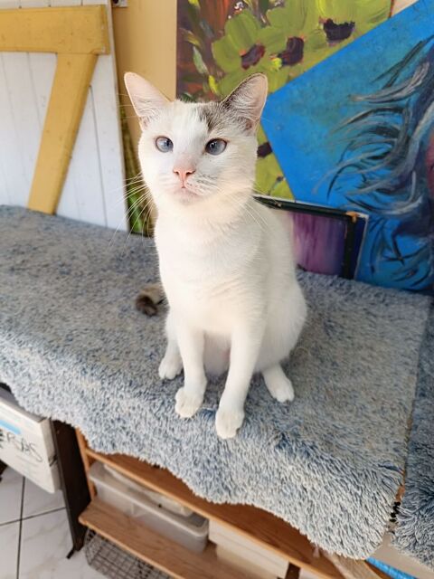 Lily Rose, la petite frimousse 280 51000 Ch�lons-en-champagne