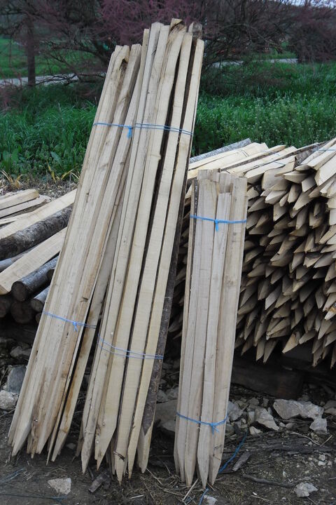 PIQUETS 1 Vassac (82)