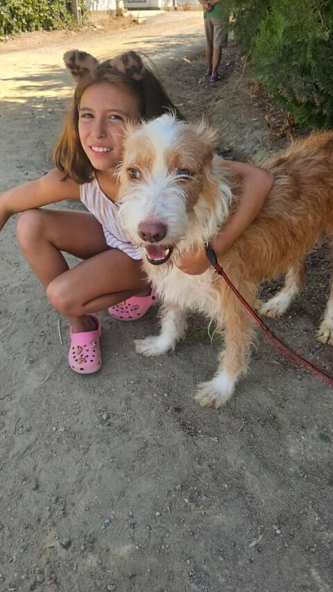 MATTEO 300 95610 ragny