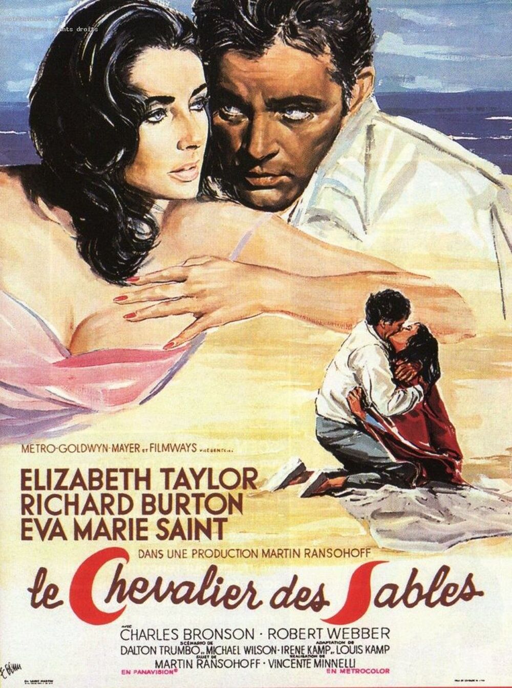 LE CHEVALIER DES SABLES DVD et blu-ray