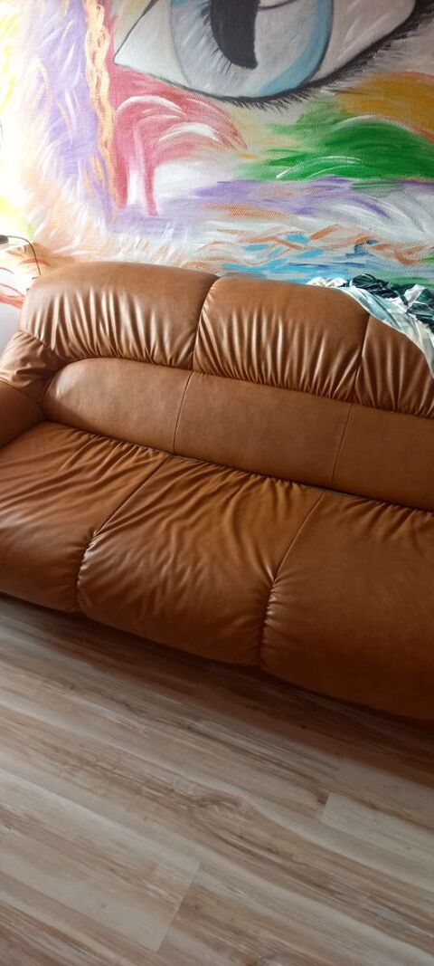 Canap� 2/3 places 40 Ciadoux (31)