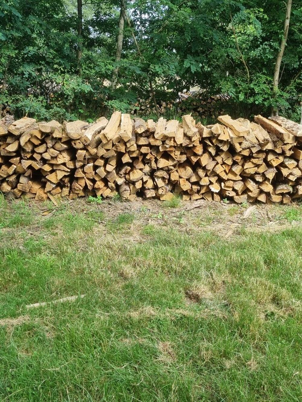 Bois de chauffage Jardin