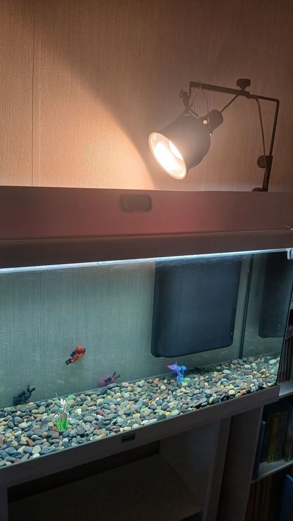   Aquarium aquadisio + meuble complet  