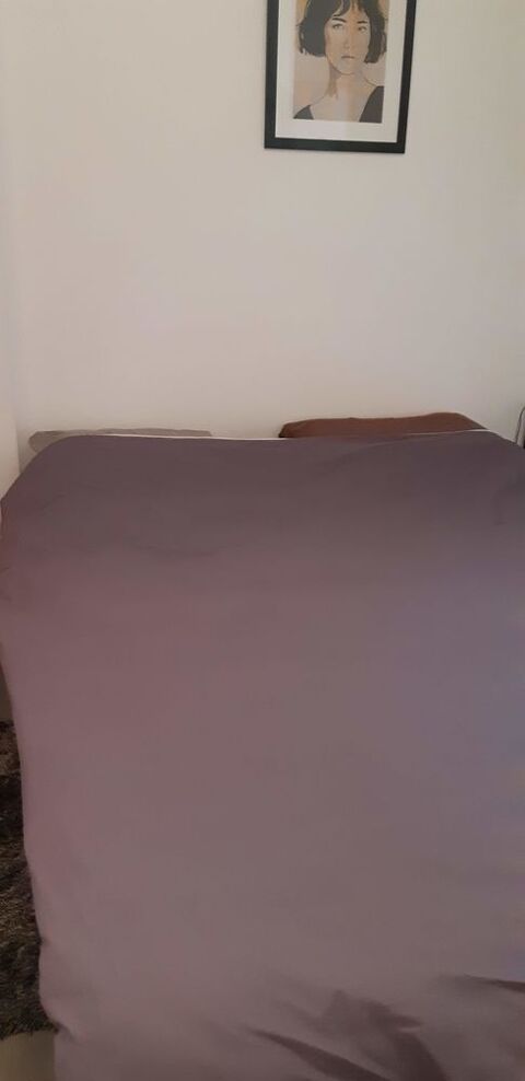 LIT MEDICALISE MANUEL
160 Castelnau-le-Lez (34)