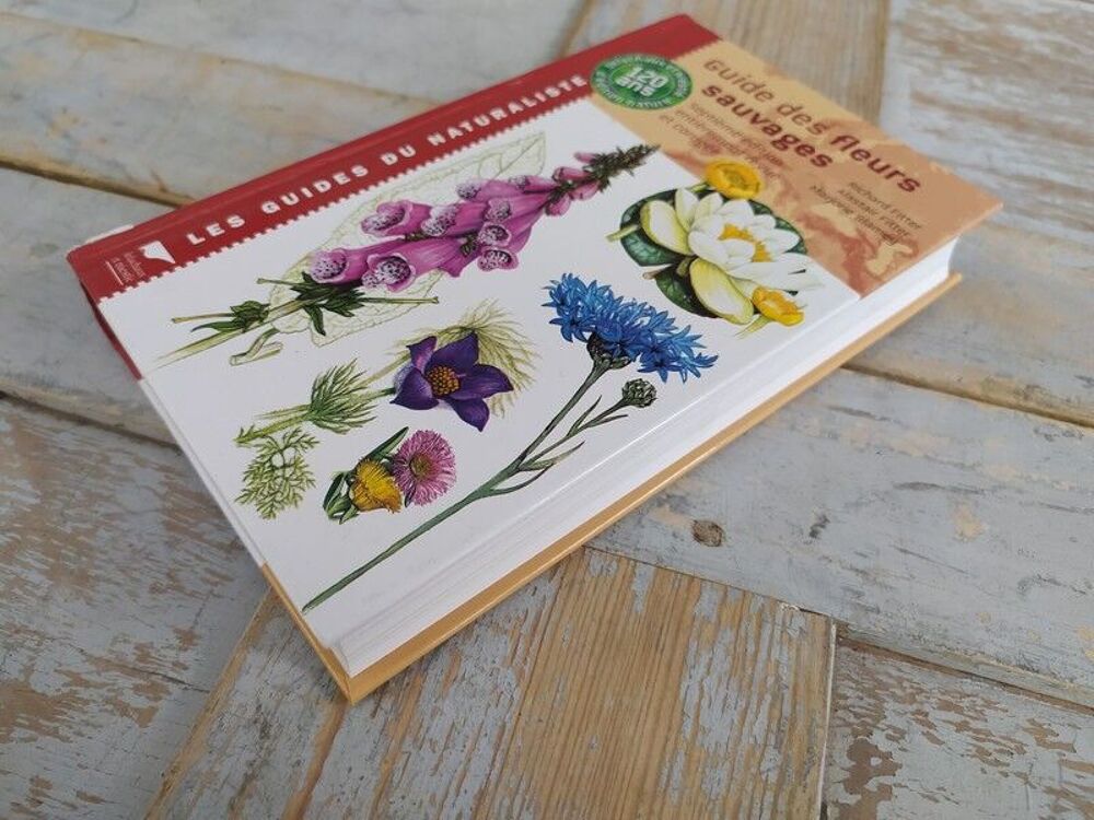 Livre Delachaux et Niestl&eacute; Guide des Fleurs sauvages Livres et BD