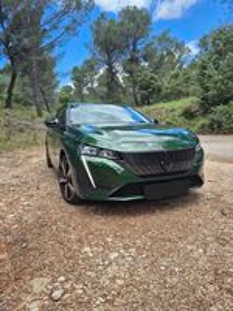 Annonce voiture Peugeot 308 19400 
