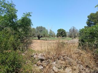  Villa � vendre 4 pi�ces 400 m� 12320 sant jordi, espa�a