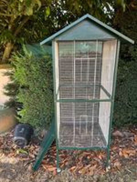   cages pour oiseaux 