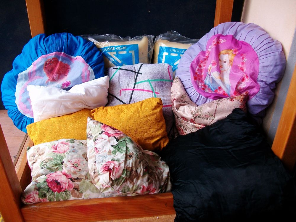 Divers COUSSINS de 0,50 € &agrave; 1,50 € pi&egrave;ce Décoration