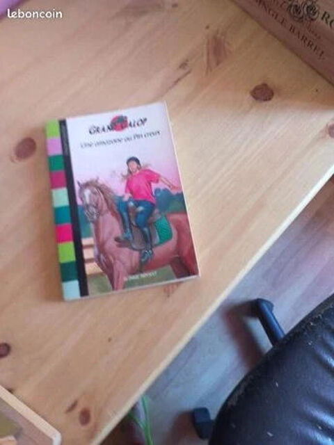 2 LIVRES DE POCHE JEUNESSE 1 Chaumont (52)