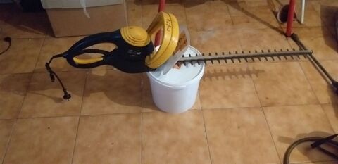 TAILLE HAIES 25 Montgeron (91)