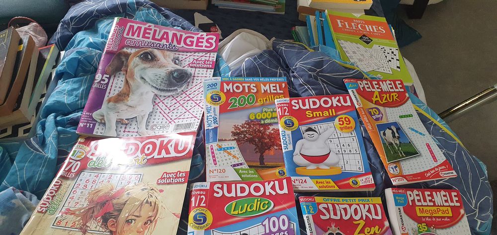 livres addulte seul o&ugrave; en lot 5e seul lot de 10 = 18 eu Livres et BD