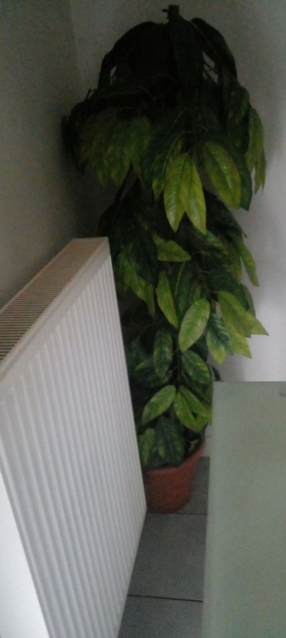 vase Décoration