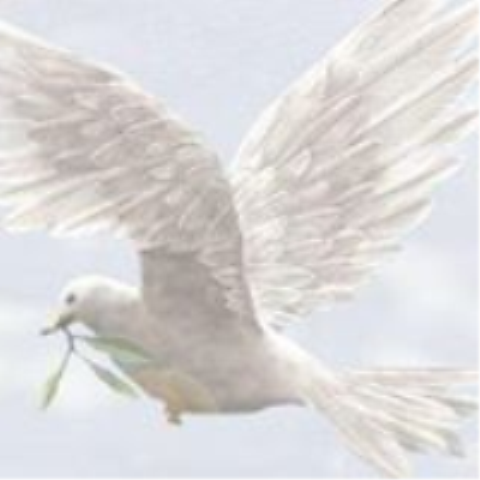 Offre un deux pi&eacute;ces a l'&eacute;tage contre services d'entretien 0 41110 Ch�teauvieux