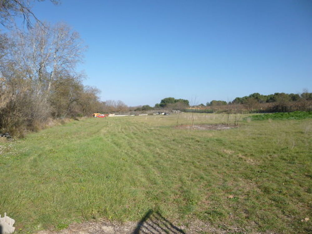 Vente Terrain SUD FRANCE à 6 KM de la mer, TERRAIN DE LOISIRS DE 6000 M² . Sète