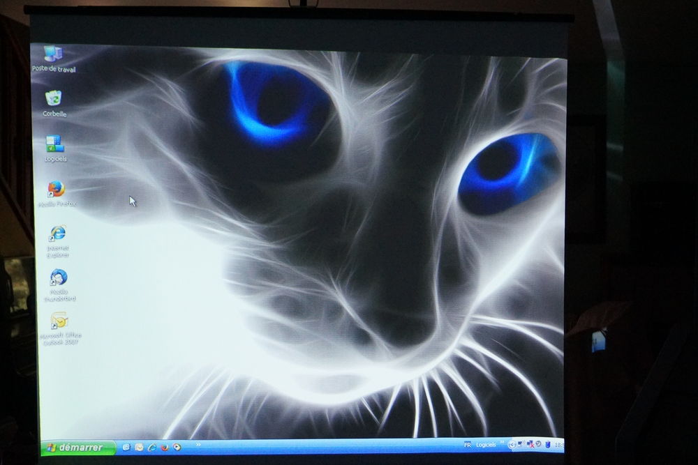 VIDEO-PROJECTEUR ET ECRAN SUR PIEDS. Photos/Video/TV