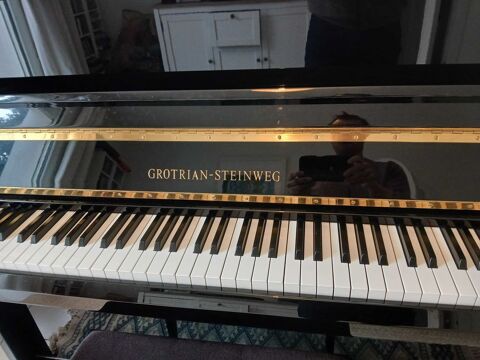 Piano Grotrian Steinweg 115 9800 Avignon (84)