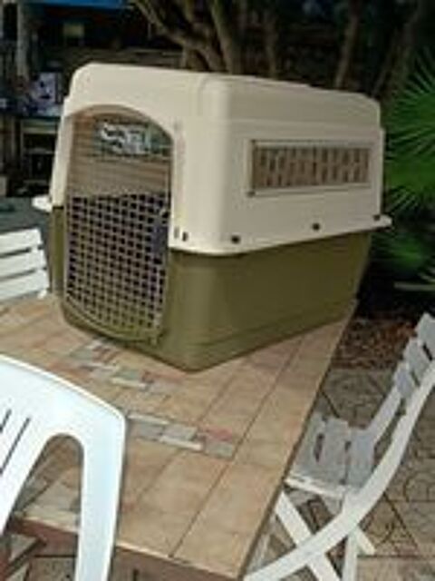   grande cage pour chien 