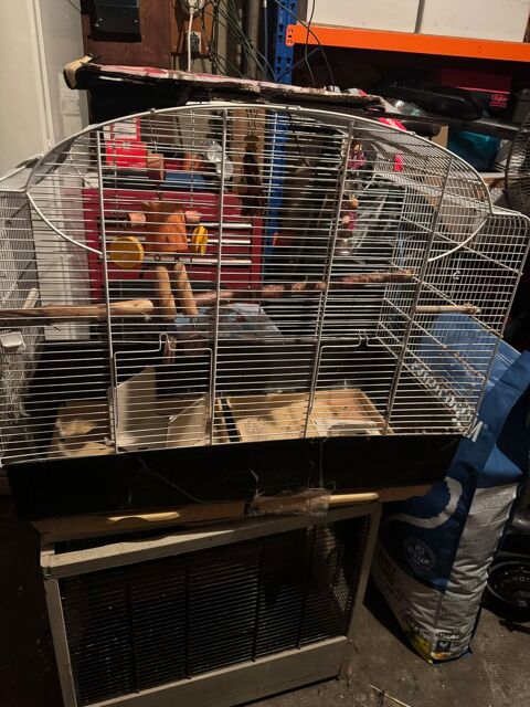 Cage oiseau 25 93330 Neuilly-sur-marne