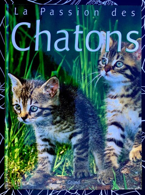Les Chatons d'A.Sayer; Beau grand livre d'art reli� NEUF,96p 1 Merville (31)