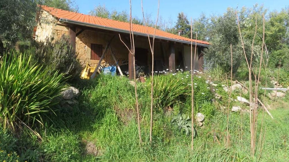 Vente Ferme Quinta de 1.4 ha avec casa de Arrumos au Portugal Vale de prazeres, portugal (Portugal)