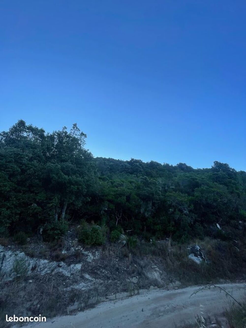 Vente Terrain IMPORTANTE PARCELLE BOISEE EN HAUTEUR DE Sta MARIA SICHE Santa-maria-siché