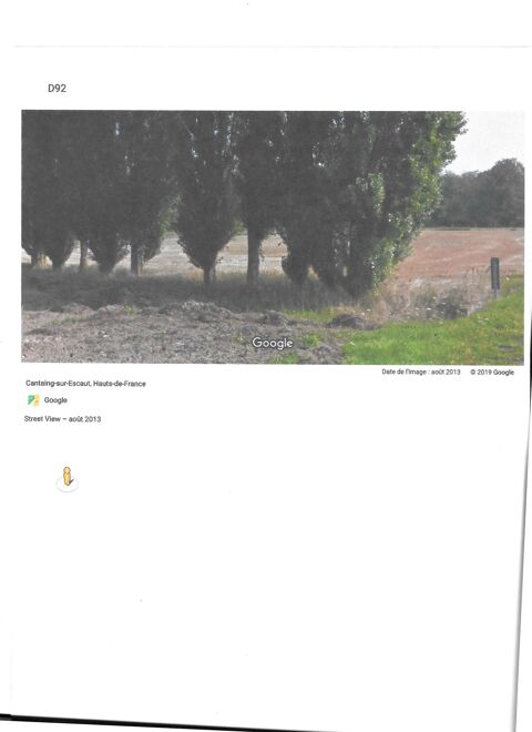 Populus Adultes 500 Cantaing-sur-Escaut (59)