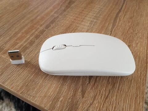 Souris sans fil 4 Saint-Jean-de-Monts (85)