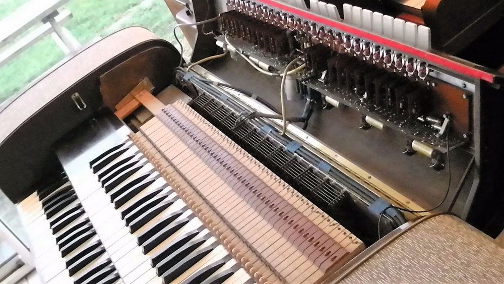 Bird Contemporary Mark II Instruments de musique