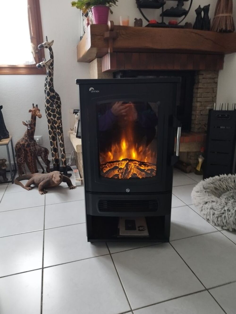 Chemin&eacute;e &eacute;lectrique Décoration