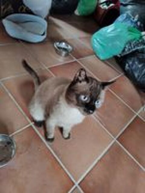   HERCO 
