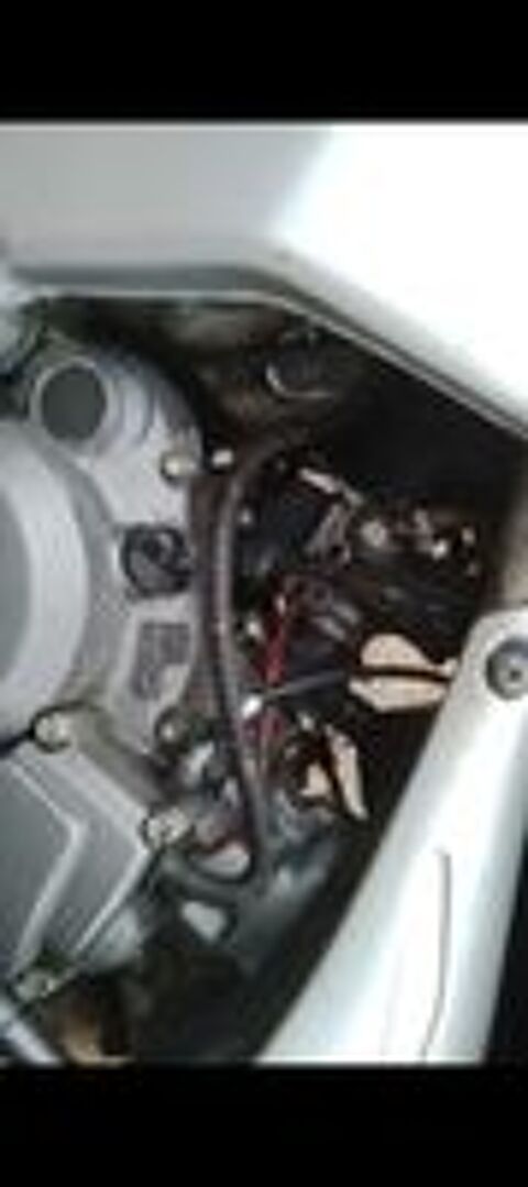 YAMAHA 1997 occasion 81200 Mazamet