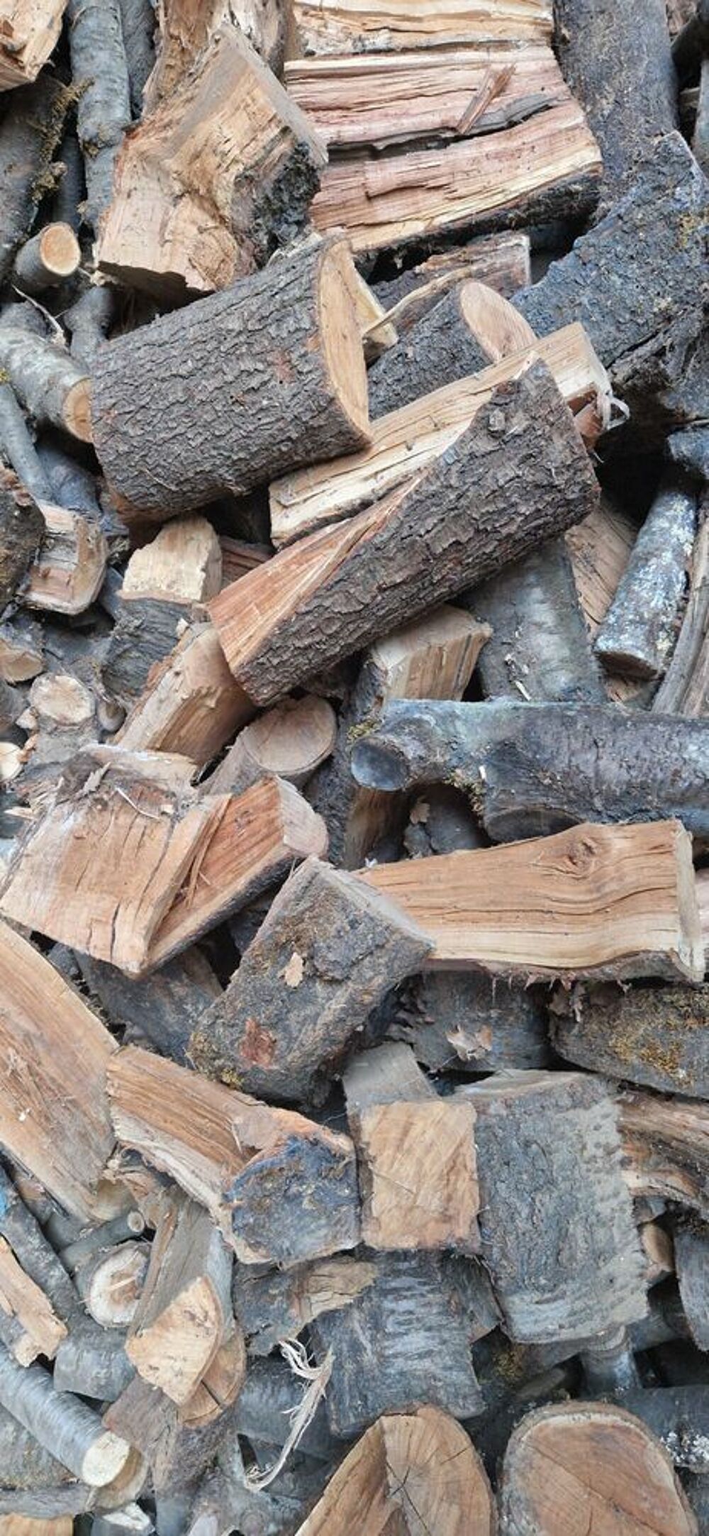 Bois de chauffage Cerisier Livrer Jardin