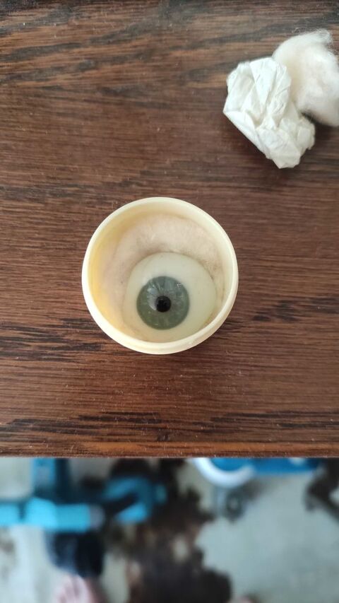 Cabinet de Curiosit�s 50 Azay-le-Rideau (37)