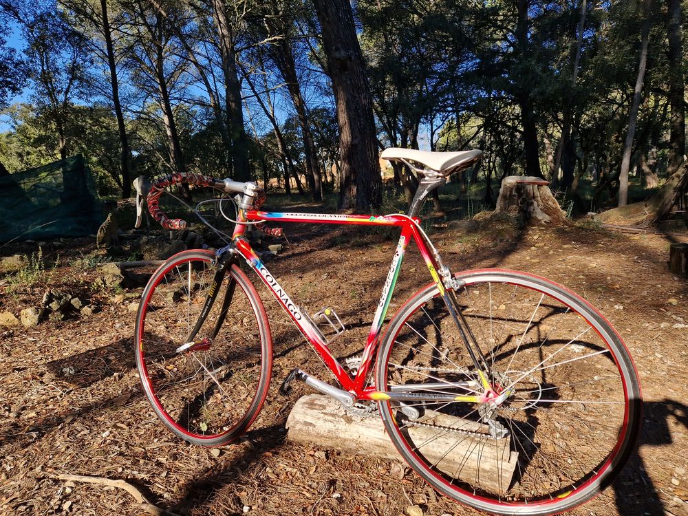 Magnifiques Colnago Master olympique Vélos