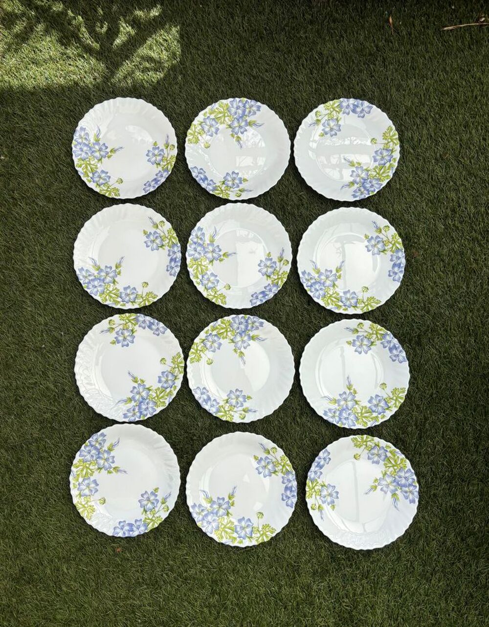 de fleurs bleues et vertes lot de 12 assiette blanche, avec des jolis motifs de fleurs bleues et vertes 