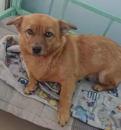 MARY SE TROUVE DANS UN REFUGE EN CHINE 0 75018 Paris
