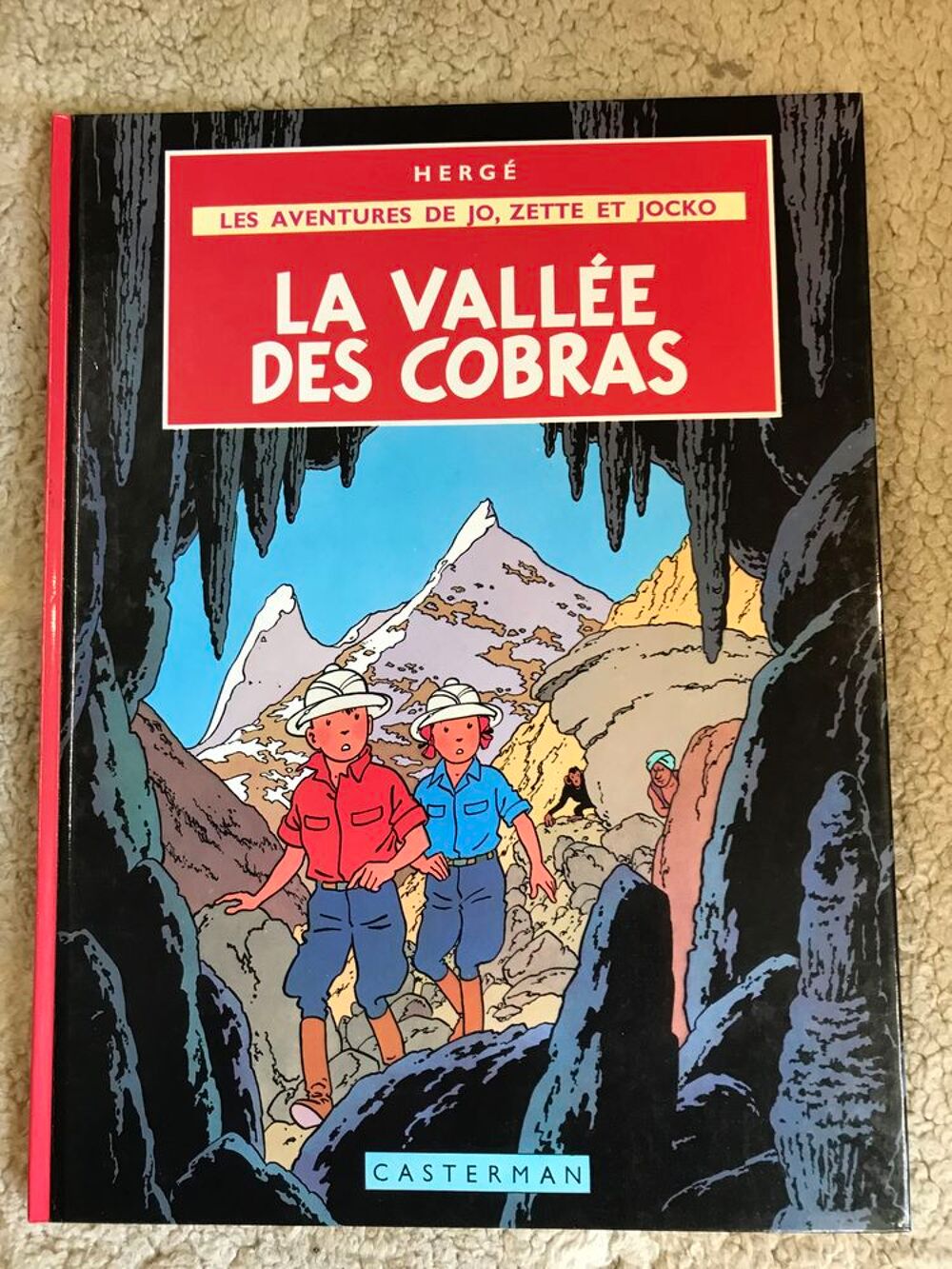 La vall&eacute;e des cobras Livres et BD